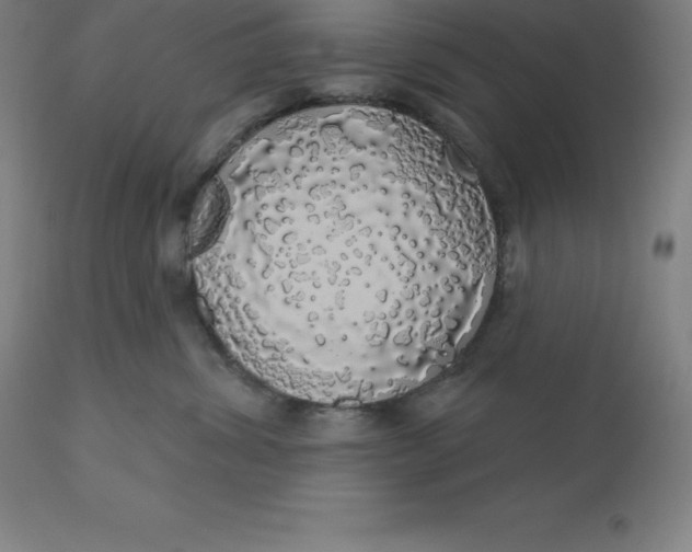 X0000110700428200907022002