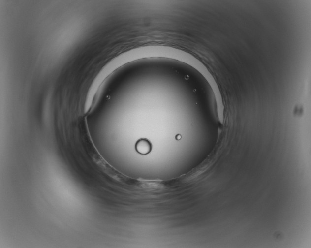 X0000110700429200907022002
