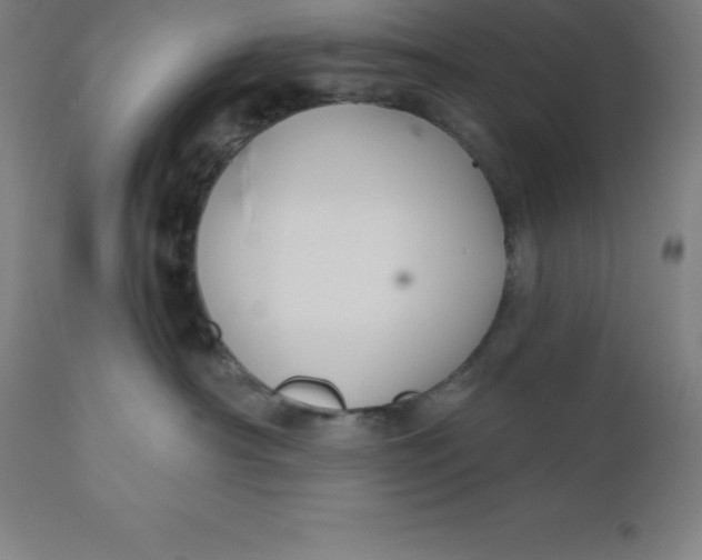 X0000110700430200907022002