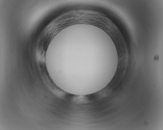 X0000110700431200907022002