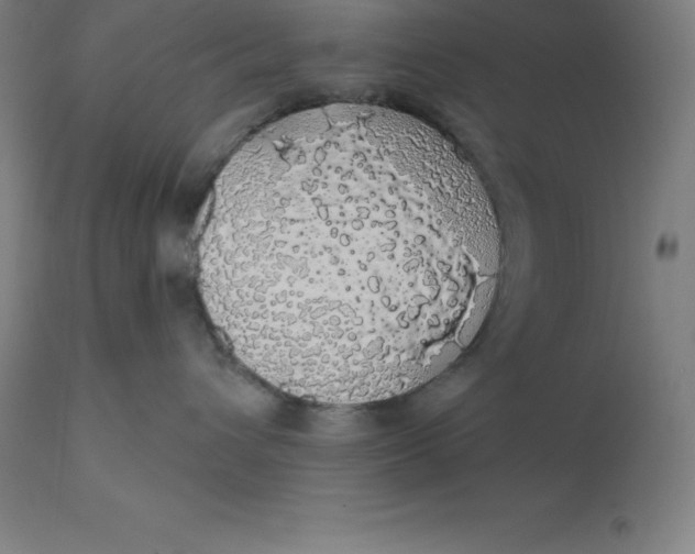 X0000110700432200907022002