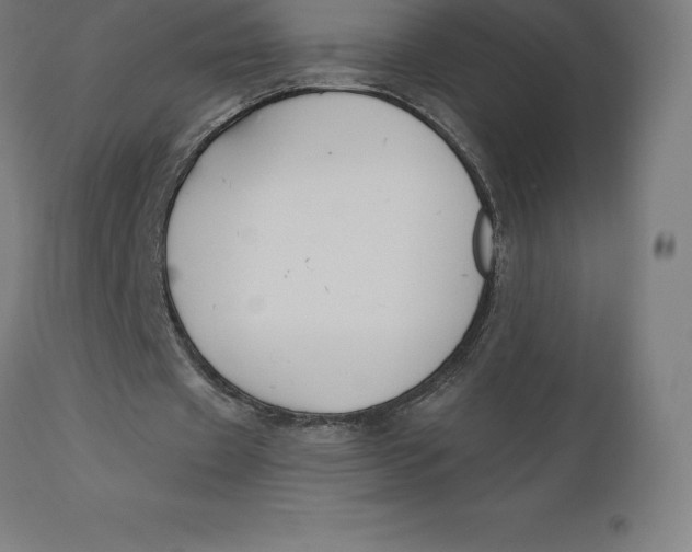 X0000110700433200907022001