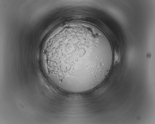 X0000110700435200907022001