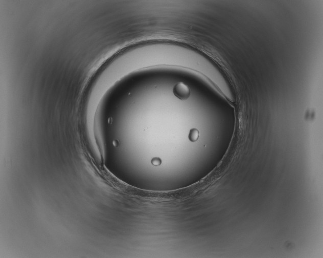 X0000110700436200907022001