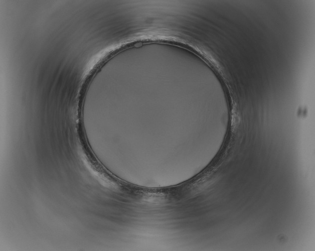 X0000110700438200907022001
