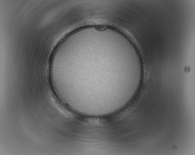X0000110700439200907022001