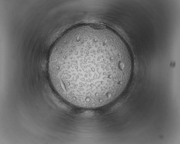 X0000110700441200907022001