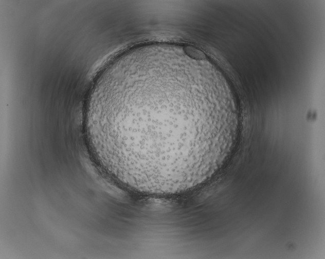 X0000110700442200907022001
