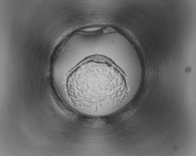X0000110700443200907022001