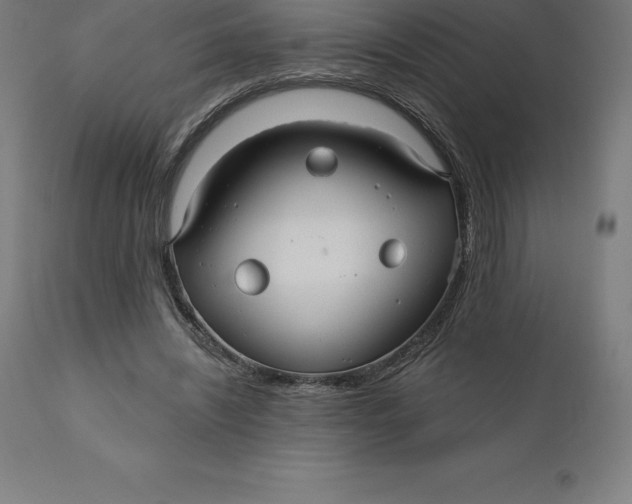 X0000110700444200907022001