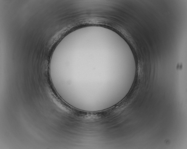 X0000110700445200907022001