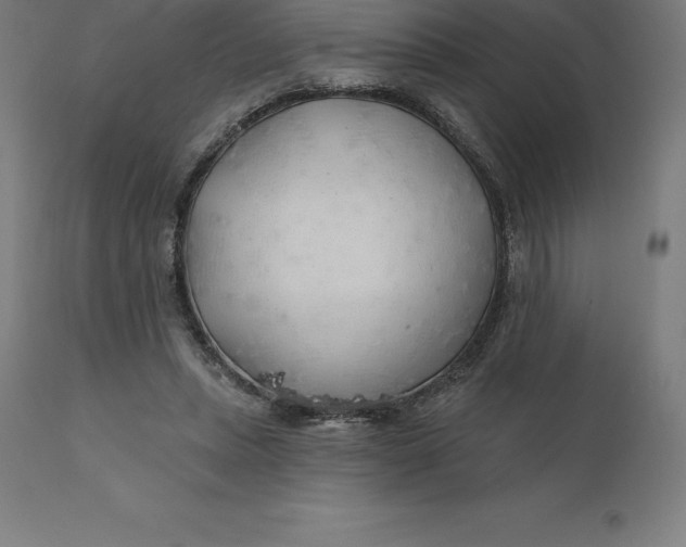 X0000110700447200907022001