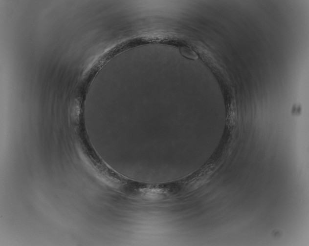 X0000110700448200907022001