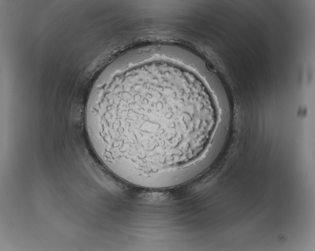 X0000110700449200907022001