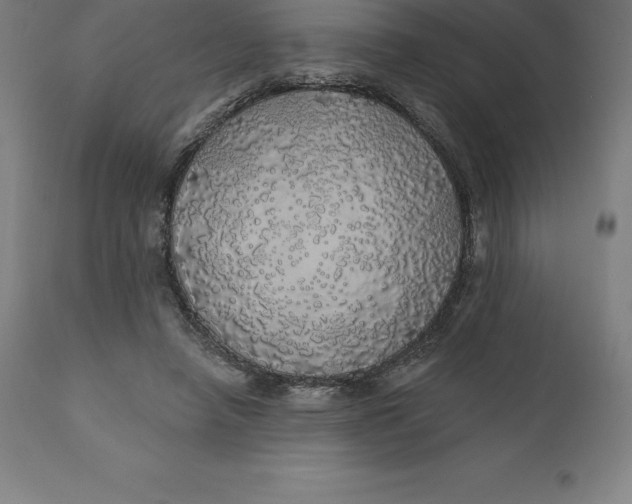 X0000110700450200907022001