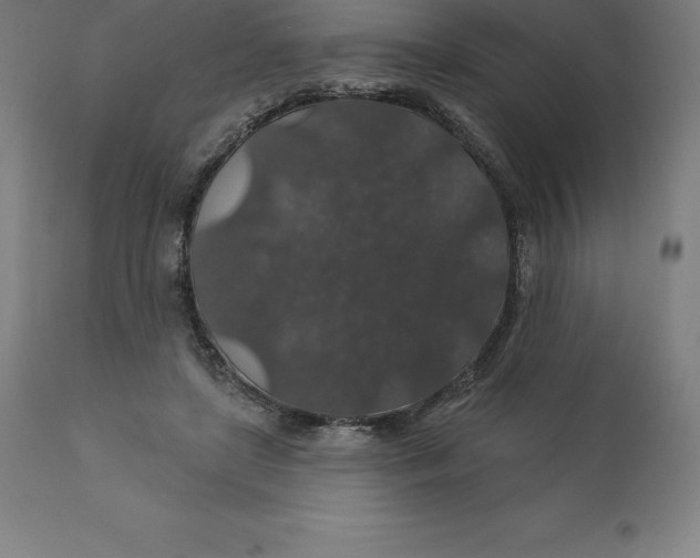 X0000110700451200907022001
