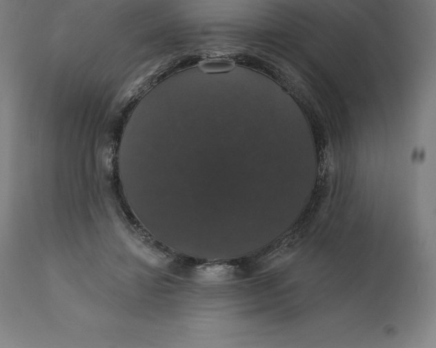 X0000110700452200907022001