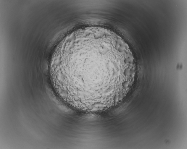 X0000110700453200907022001