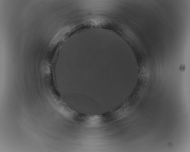 X0000110700456200907022001