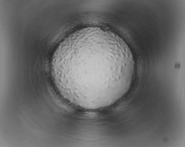 X0000110700457200907022001