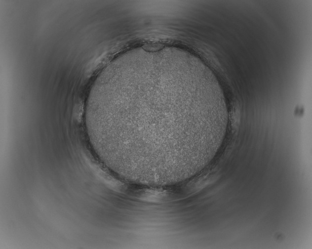 X0000110700458200907022001