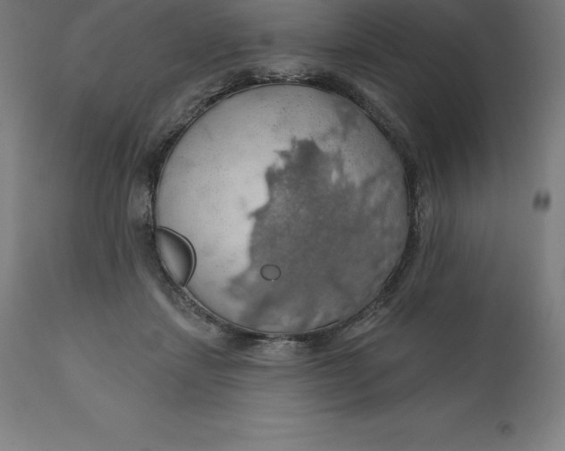 X0000110700459200907022001