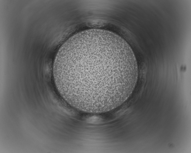 X0000110700460200907022001