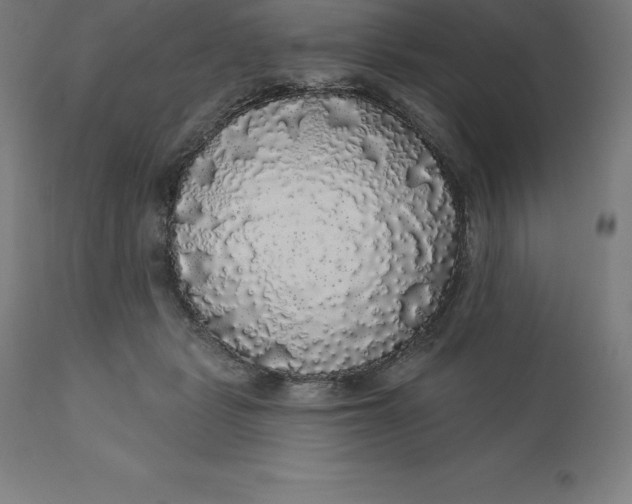 X0000110700461200907022001