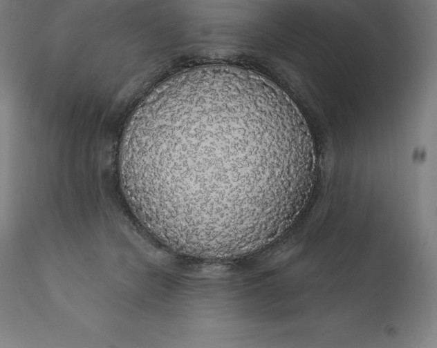X0000110700462200907022002
