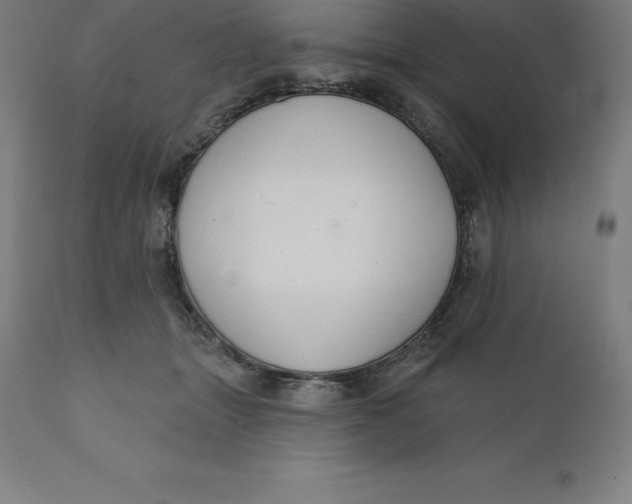 X0000110700463200907022002