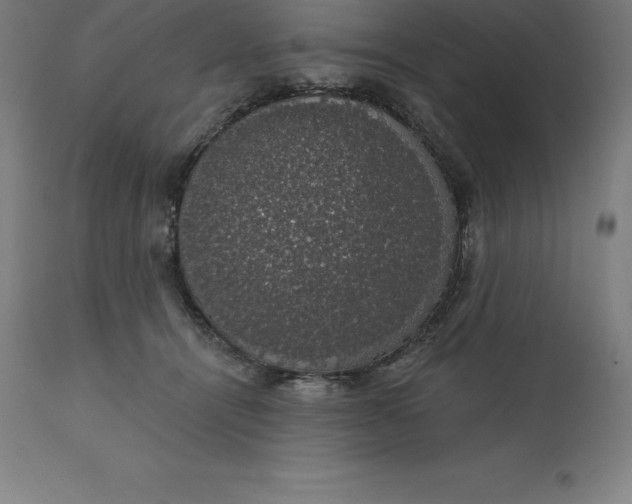 X0000110700464200907022002