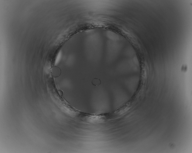 X0000110700465200907022002