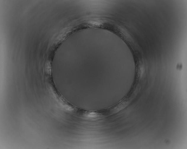 X0000110700467200907022002