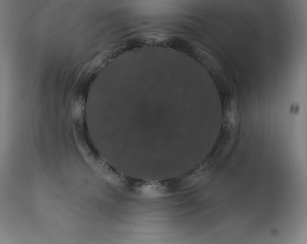 X0000110700468200907022002