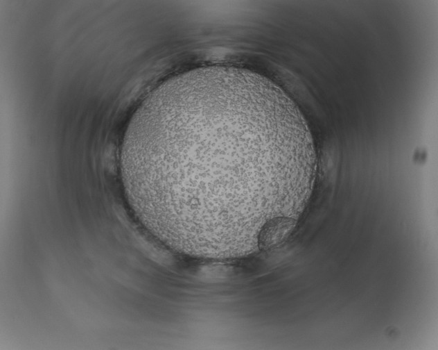 X0000110700470200907022002