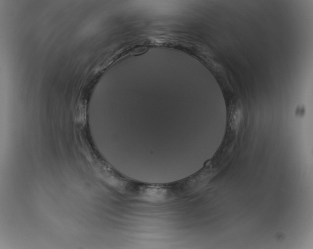 X0000110700471200907022002