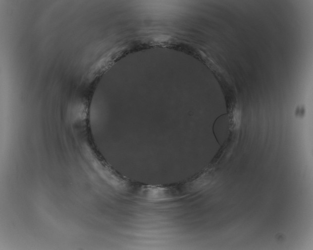 X0000110700472200907022002
