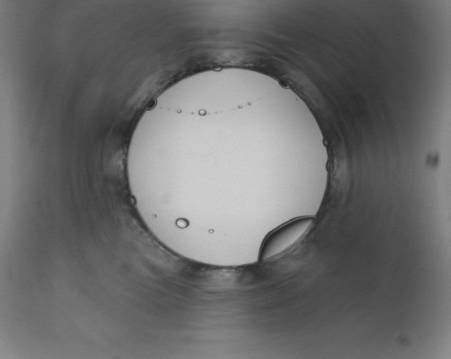 X0000110700473200907022002