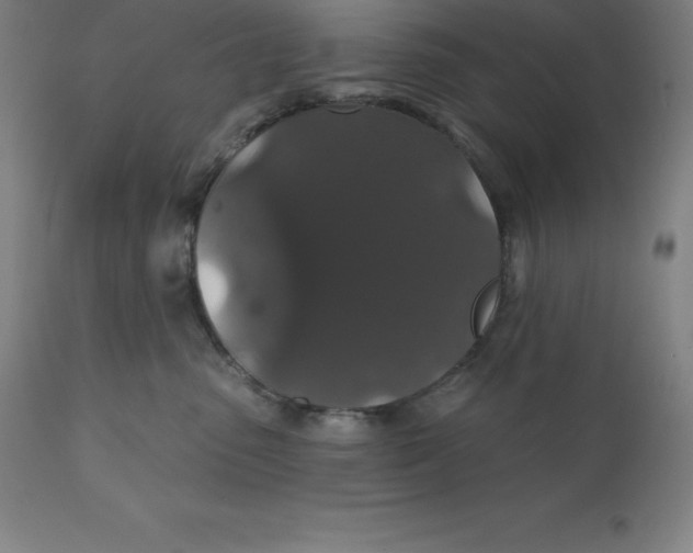 X0000110700475200907022002