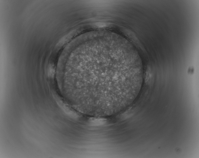 X0000110700476200907022002