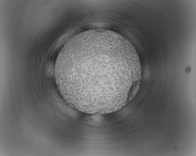 X0000110700478200907022002