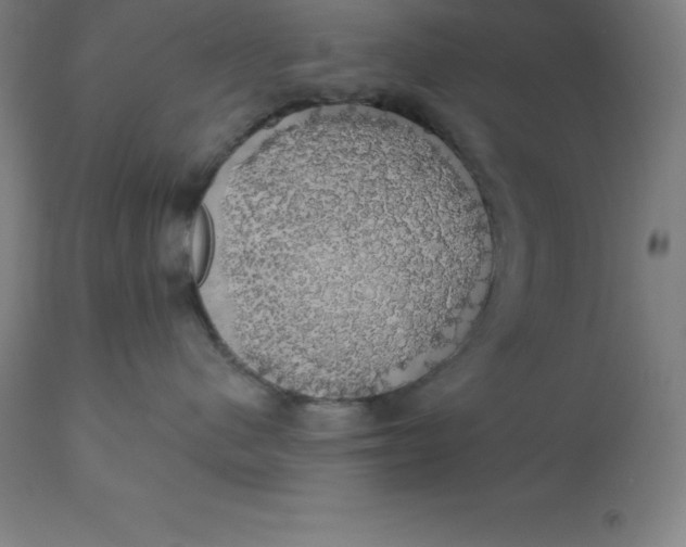 X0000110700480200907022002