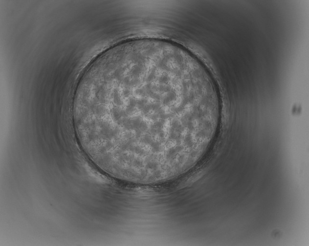 X0000110700481200907022001