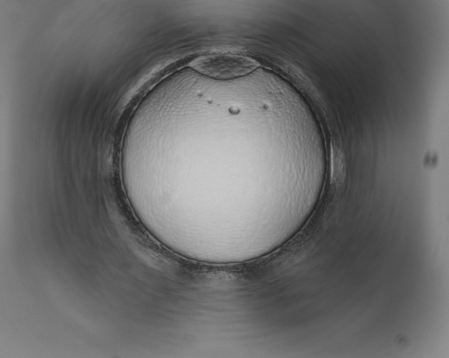 X0000110700483200907022001