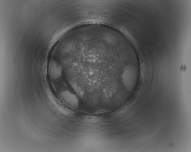 X0000110700486200907022001