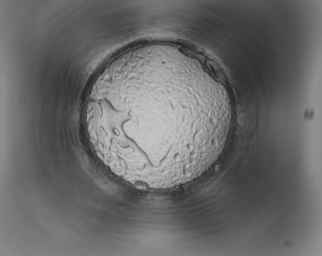 X0000110700487200907022001