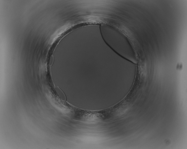 X0000110700488200907022001