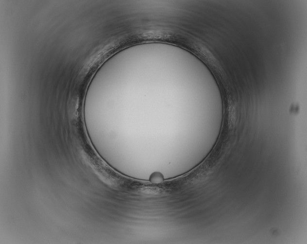 X0000110700490200907022001
