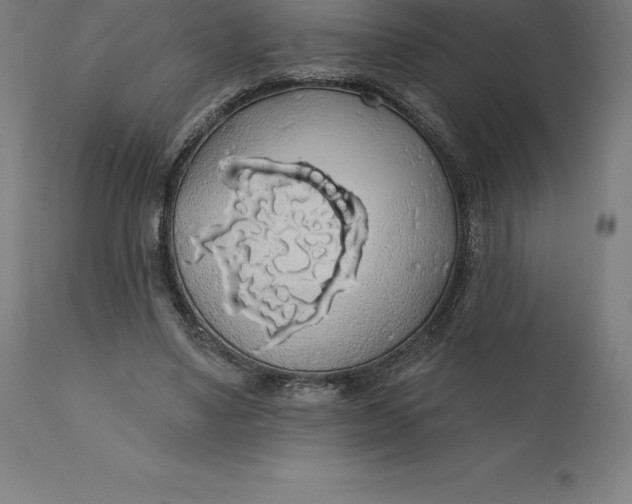 X0000110700491200907022001