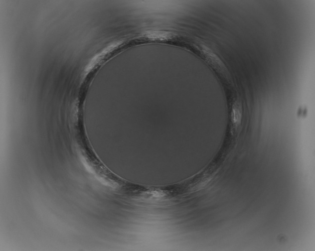 X0000110700492200907022001